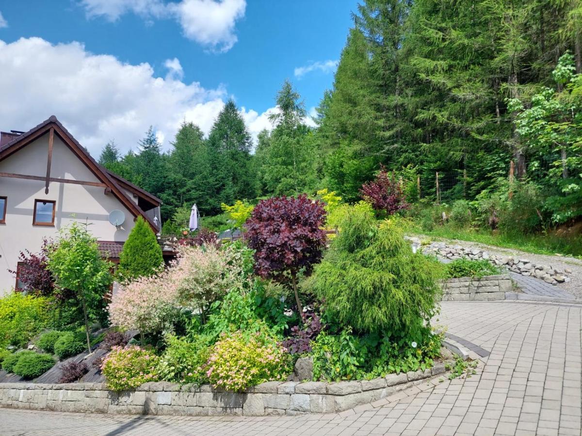 Apartamenty Nad Strumykiem Brenna Exteriér fotografie